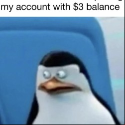 No Ones Looking