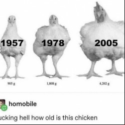 How Old?