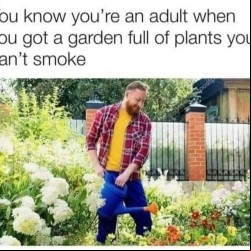 Adulting