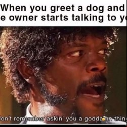 When The Owner Starts Talking