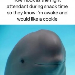 Snack Time