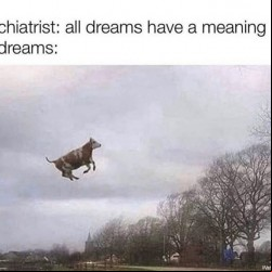 My Dreams