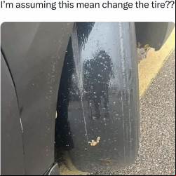 You Think?