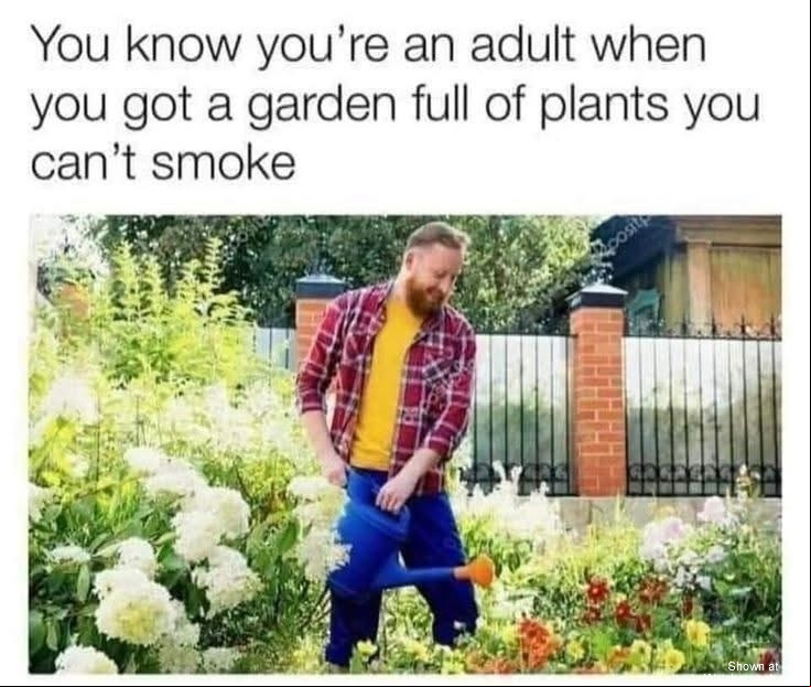 Adulting #0