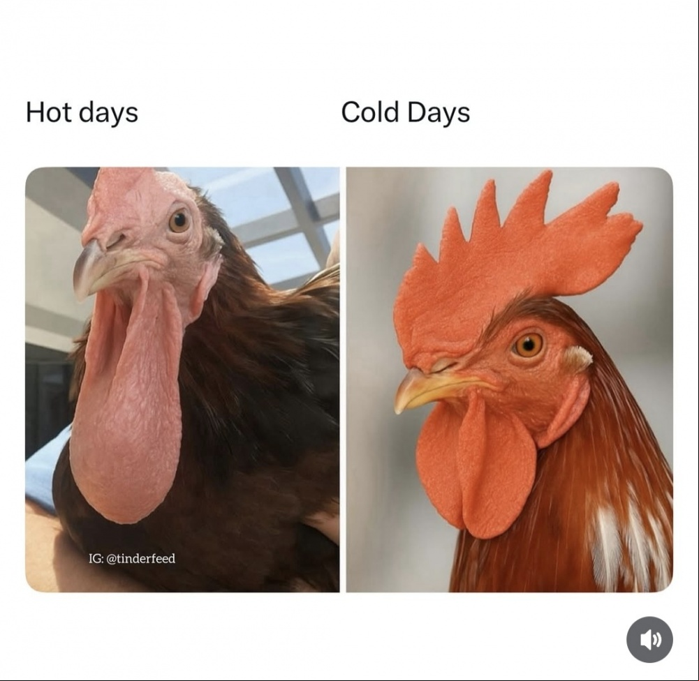 Hot & Cold Days #0