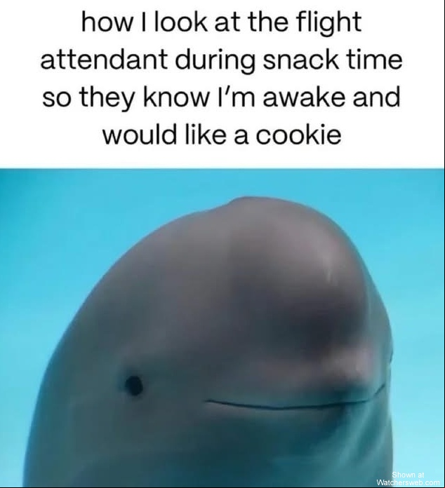 Snack Time #0